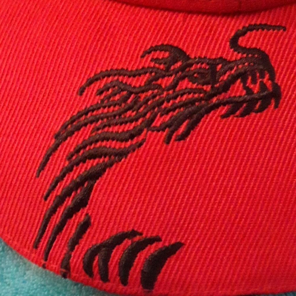 Hat - Picture 2 of 3